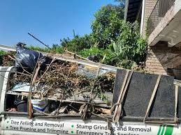Best Hoarding Cleanup  in Head Of The Harbor, NY